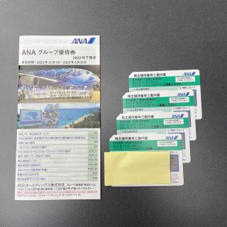 エーエヌエー(ゼンニッポンクウユ)(ANA(全日本空輸))のANA株主優待券(その他)