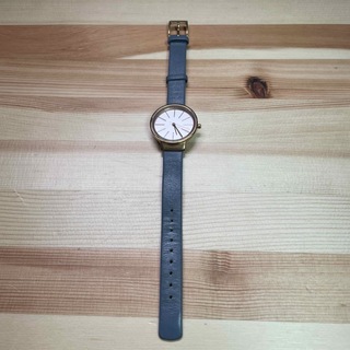 スカーゲン(SKAGEN)のSKAGEN レディース腕時計　SKW2482(腕時計)