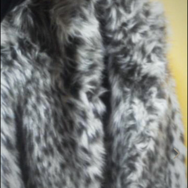 ROYAL PUSSY(ロイヤルプッシー)のroyalpussy♡ﾌｧｰ レディースのジャケット/アウター(毛皮/ファーコート)の商品写真