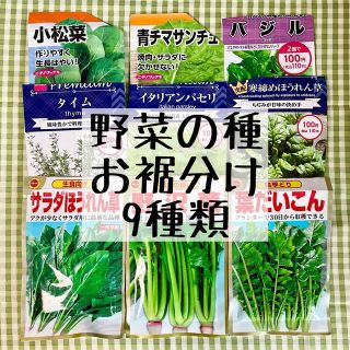 野菜の種 お裾分け 9種類(野菜)