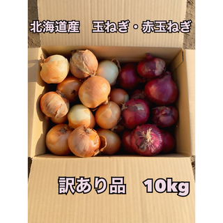 北海道産　玉ねぎ・赤玉ねぎ　訳あり品　10kg(野菜)