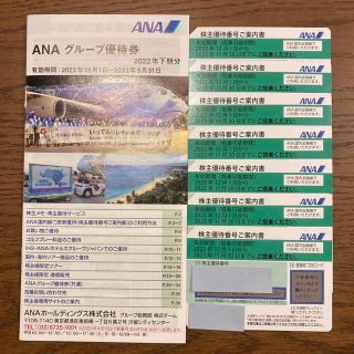 エーエヌエー(ゼンニッポンクウユ)(ANA(全日本空輸))のANA 株主優待券　(その他)