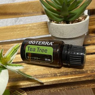 ドテラ(doTERRA)の<doTERRA> ティーツリー(エッセンシャルオイル（精油）)