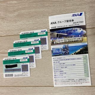 エーエヌエー(ゼンニッポンクウユ)(ANA(全日本空輸))のANA株主優待券　有効期限2023年11月30日まで(その他)