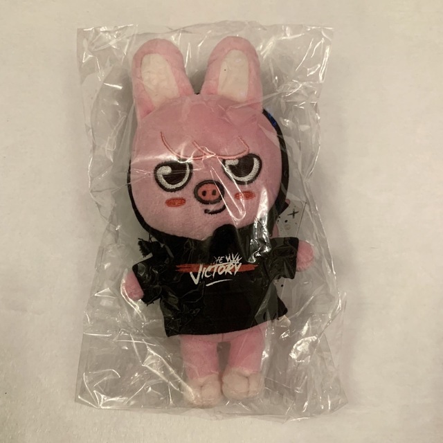 skzoo straykids トェッキ チャンビン ぬいぐるみ - キャラクターグッズ