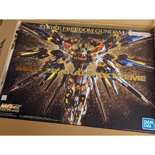 新品未開封　MGEXストライクフリーダムガンダム