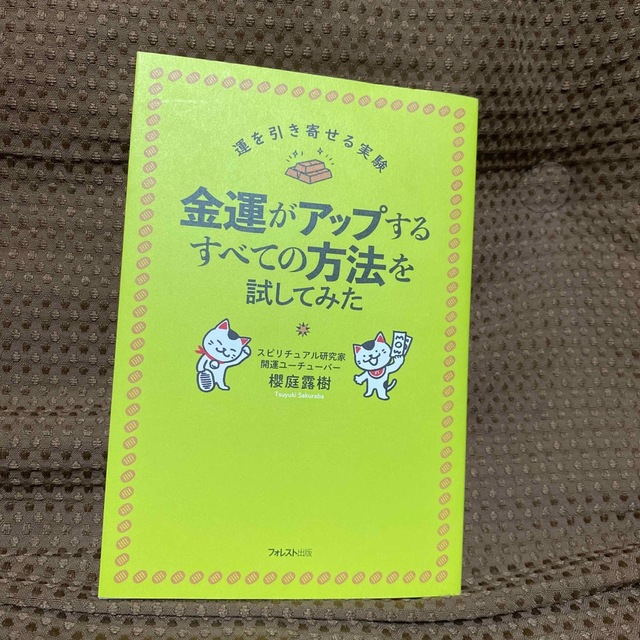 金運がアップするすべての方法を試してみた エンタメ/ホビーの本(住まい/暮らし/子育て)の商品写真