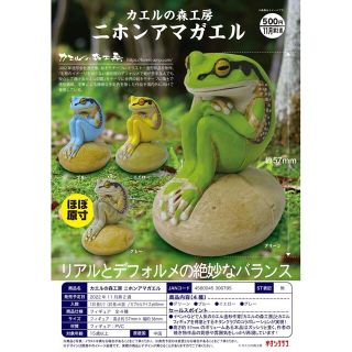 キタンクラブ(KITAN CLUB)のカエルの森工房 ニホンアマガエル ✦全4種セット(その他)