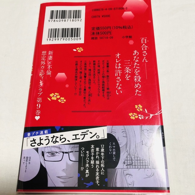 うっちー様専用　11月新刊3冊セット　１８歳、新妻、不倫します。　９  他 エンタメ/ホビーの漫画(少女漫画)の商品写真