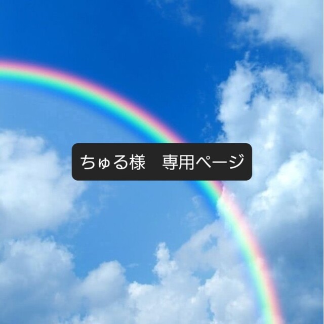 ちゅるちゅるメンメン様 専用