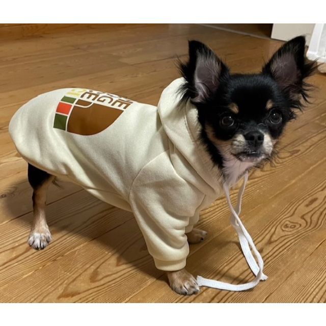 ®️様専用　ワンちゃん用　フード付きスウェットシャツ　3点セット その他のペット用品(犬)の商品写真