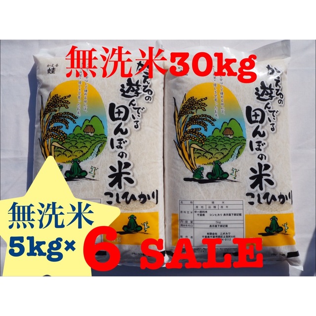 新米　令和四年産　米/穀物　無洗米　コシヒカリ　歳末セール　30kg