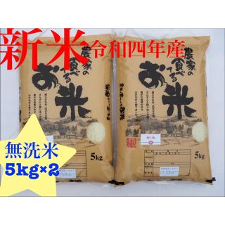 あい様専用　農家の食べてるお米　無洗米　10kg 令和四年産(米/穀物)