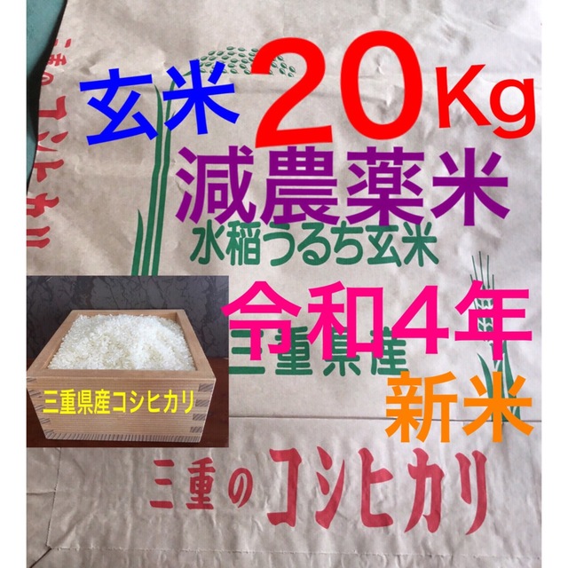 減農薬米　令和4年新米三重県コシヒカリ　玄米２０キロ   10kg×2袋 送料込令和４年新米