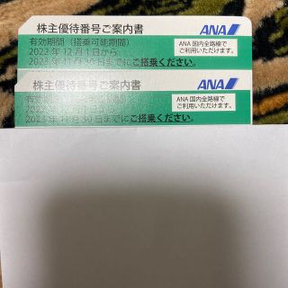 ana 株主優待券　2枚(その他)