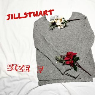 ジルスチュアート(JILLSTUART)の瞳様専用☆JILLSTUARTのグレーのニット(フリー)(ニット/セーター)