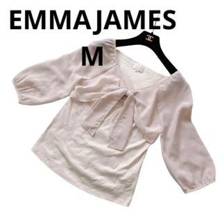 エマジェイム(EMMAJAMES)の美品EMMAJAMESベージュシフォンカットソートップス　M(カットソー(長袖/七分))