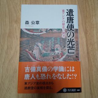 遣唐使の光芒 東アジアの歴史の使者(人文/社会)