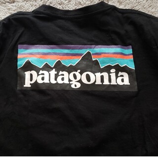 パタゴニア(patagonia)のロンT パタゴニア(Tシャツ/カットソー)