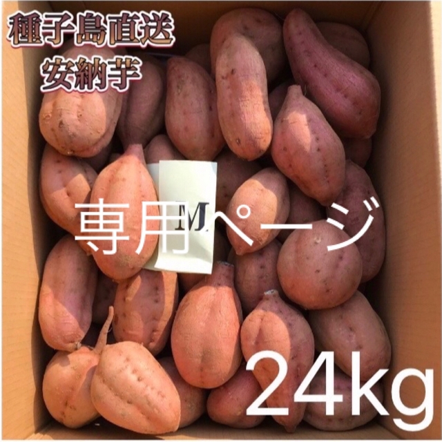 安納紅Mサイズ【絶品】種子島産  安納芋M 24kg(箱別)