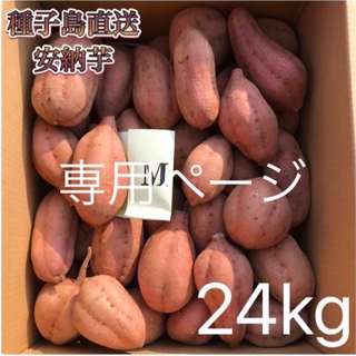 【絶品】種子島産  安納芋M 24kg(箱別)(野菜)