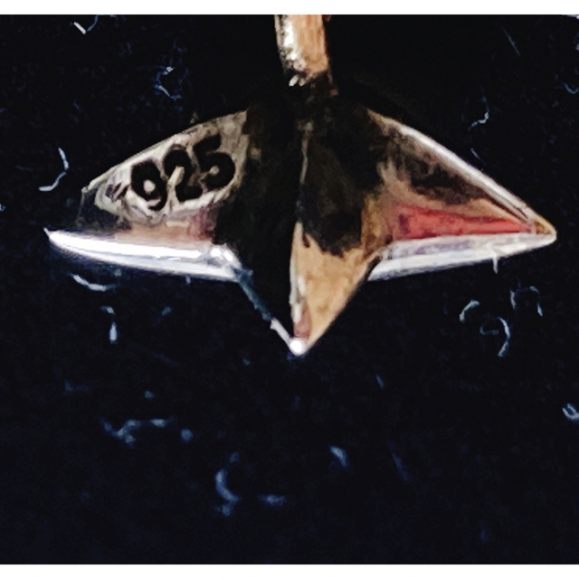 WACKO MARIA(ワコマリア)のデラックス×キャリアリング　シルバー925 ダイヤモンド星型ピアス　K18YG メンズのアクセサリー(ピアス(片耳用))の商品写真