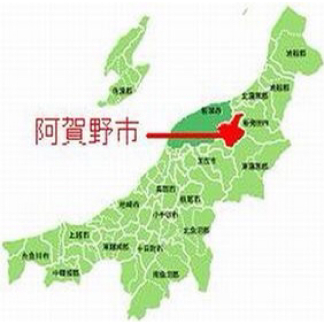 令和4年産新米・新潟コシヒカリ特別栽培米1等玄米5キロ2個か、白米4.5キロ2個 食品/飲料/酒の食品(米/穀物)の商品写真