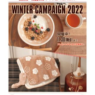 MARY QUANT - 【マリークワント 】ノベルティ3点セット|新品 MARY QUANT - 【マリークワント 】ノベルティ3点セット|新品