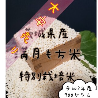 商品入替sale！満月もち米　令和3年産　餅米(米/穀物)