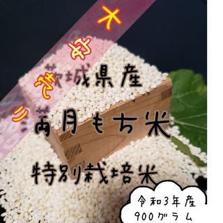 商品入替sale！満月もち米　令和3年産　餅米(米/穀物)