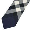 新品 バーバリー BURBERRY ネクタイ CHECK SILK TIE ネイ