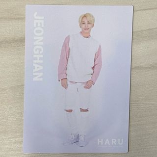 セブンティーン(SEVENTEEN)のSEVENTEEN 2019 JAPAN TOUR HARU ジョンハン トレカ(アイドルグッズ)