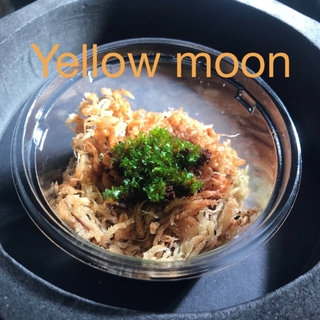 ビカクシダ Yellow moon 前葉体(その他)