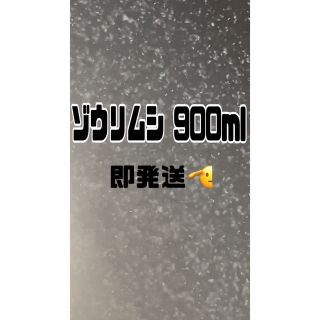 【ゾウリムシ大容量】900ml送料無料めだか金魚グッピーetc.(アクアリウム)