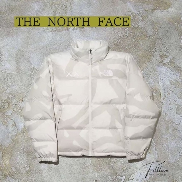 新品the north face kaws nuptse down jacket