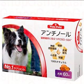 アンチノール　犬　60粒(犬)