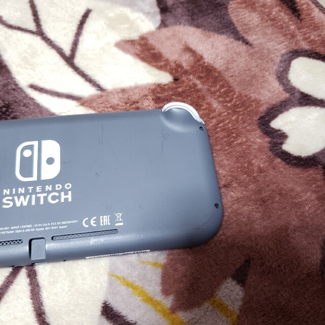 Nintendo Switch Lite　ニンテンドースイッチ　ライト　任天堂