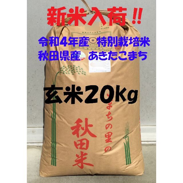 令和4年産　精米無料　特別栽培米　秋田県産あきたこまち(検査1等米)玄米20kg　米/穀物