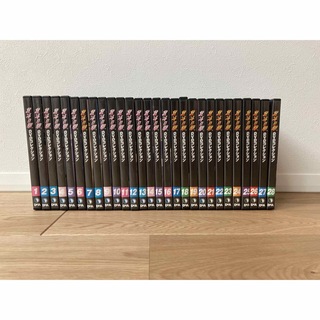 北斗の拳DVDコレクションデアゴスティーニ　28本セット(アニメ)
