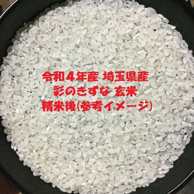 白米　20kg 彩のきずな　新米　埼玉県産　令和4年産　送料無料　米　20キロ