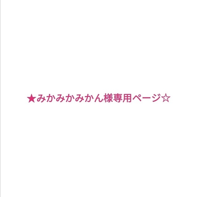 みかみかみかん様専用ページ ハンドメイド モビール クリスマス ...