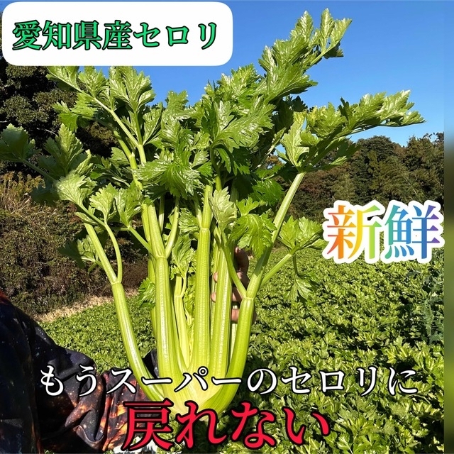 miki様 食品/飲料/酒の食品(野菜)の商品写真