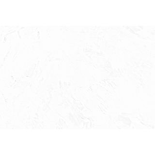 m様専用＊イラストオーダー(その他)