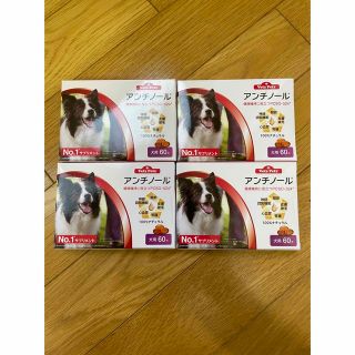 アンチノール　犬用60カプセル入り4箱新品