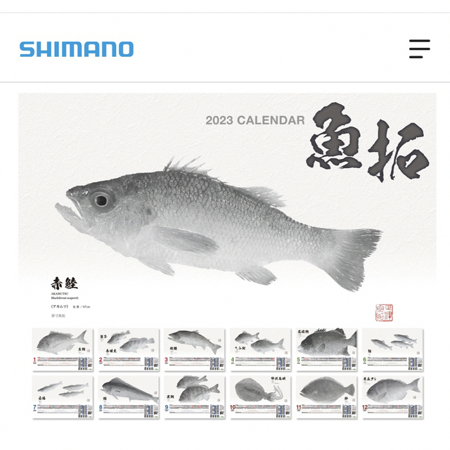 ダイワ／2023魚拓カレンダー - 1