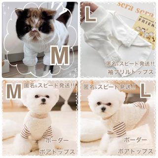 【専用】4着　袖フリル シンプルトップス 【M・L】 ボーダーボア【M・L】(犬)