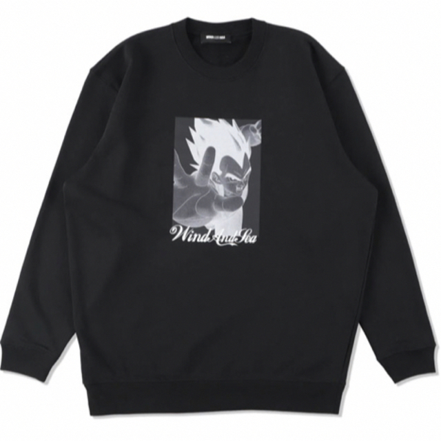 限定品 ウィンダンシー DB x WDS TEE - PICCOLO | tspea.org