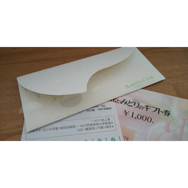 花とみどりのギフト券　千円券ｘ9枚　期限2022年12月31日 3
