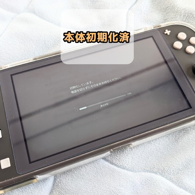 Nintendo Switch Lite グレー