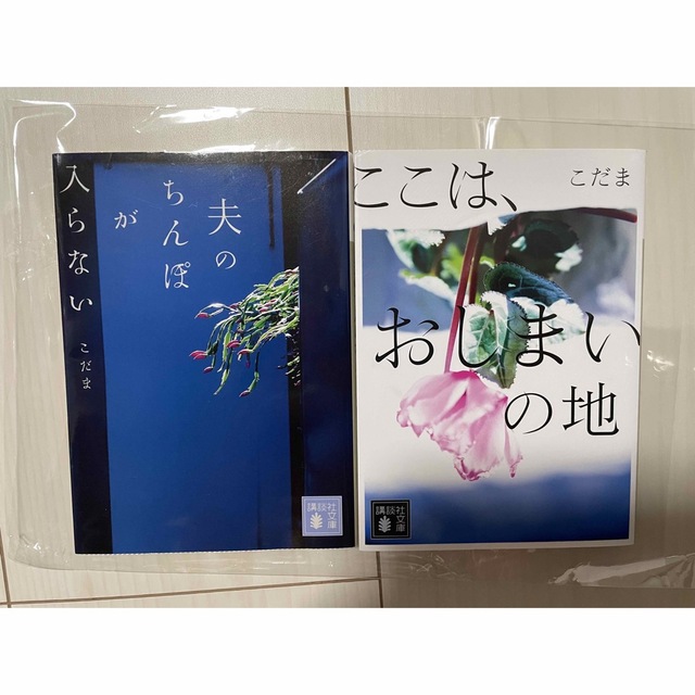 【専用です】夫のちんぽが入らない　こだま　2冊セット　 エンタメ/ホビーの本(文学/小説)の商品写真